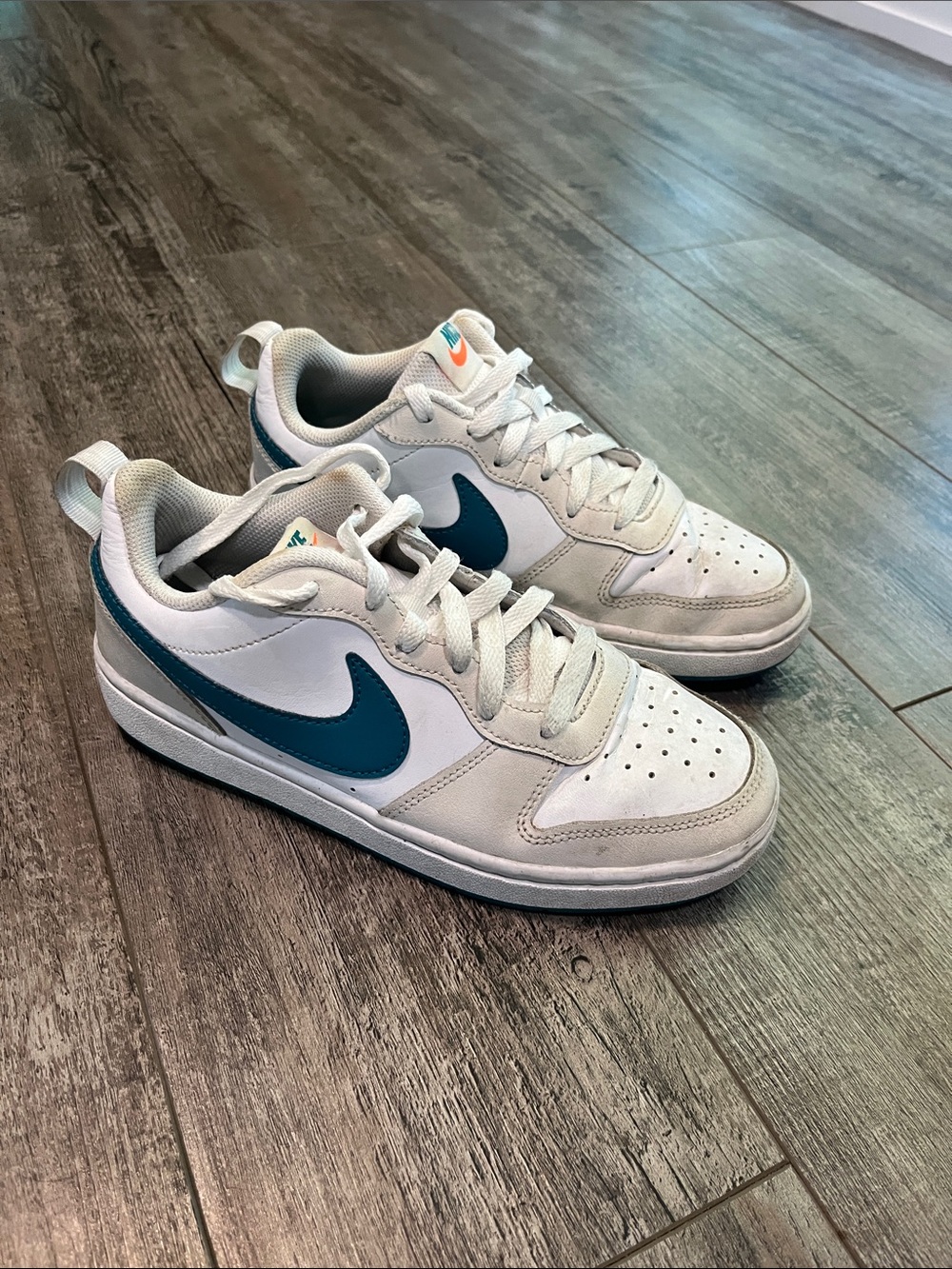 Nike dunks youth